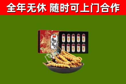 长子烟酒回收冬虫夏草礼盒.jpg