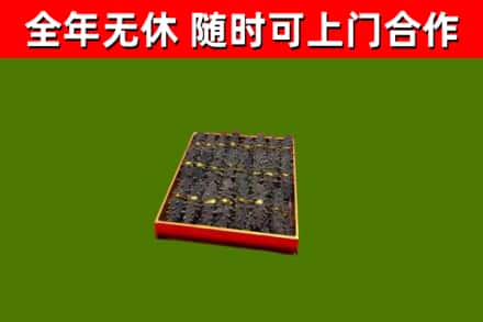长子回收海参